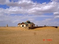 #5: Local buddist temple