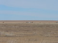 #2: East view