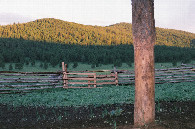 #2: View from my tent in the stable, looking southeast towards the hill with the confluence.
