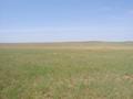 #2: West view from the confluence