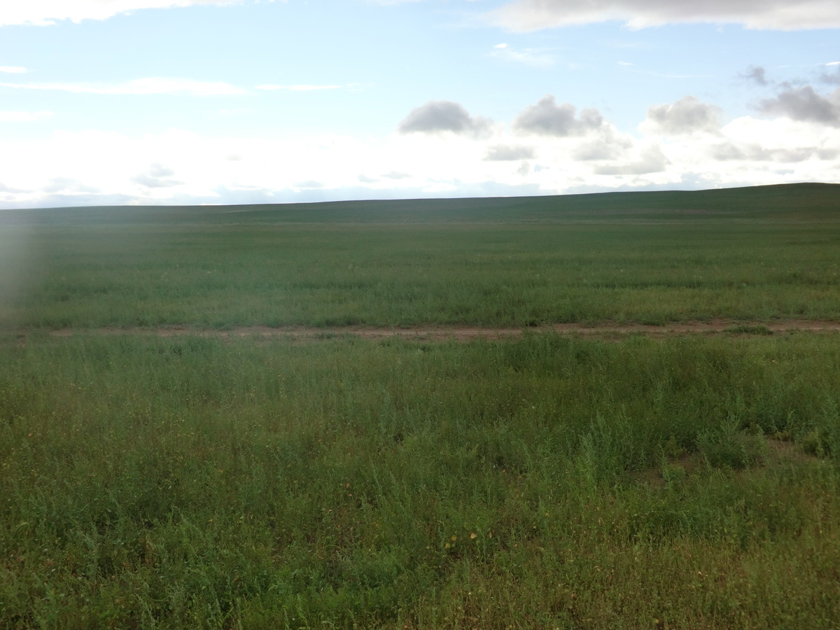 West view from the confluence