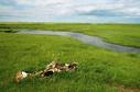 #10: Small stream near confluence