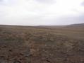 #3: север / North