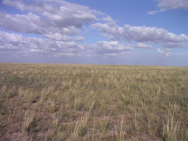 General view - east