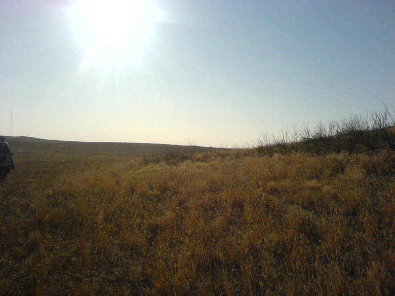 South