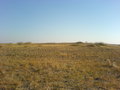#2: East