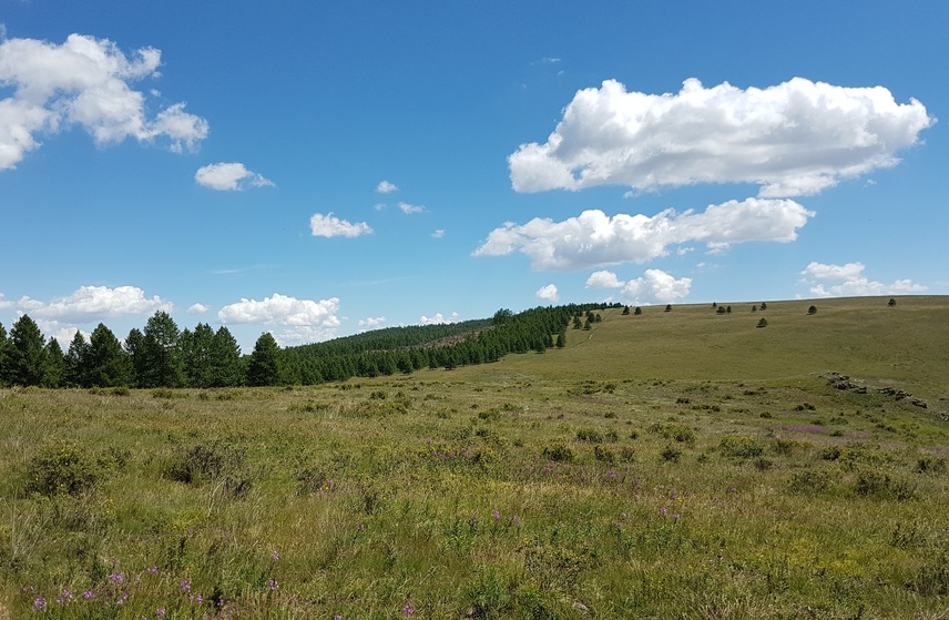 East: track along the ridge