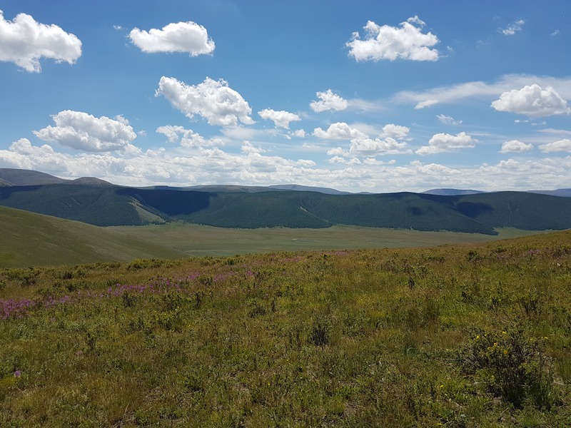 South: Dakhyn Gol (Дахийн Гол) valley