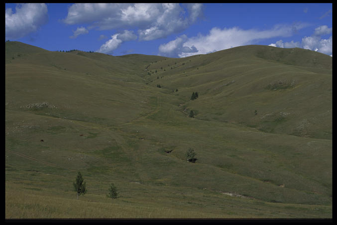 View from the confluence point (N)