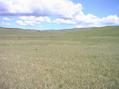 #2: North