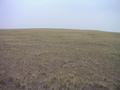 #4: West