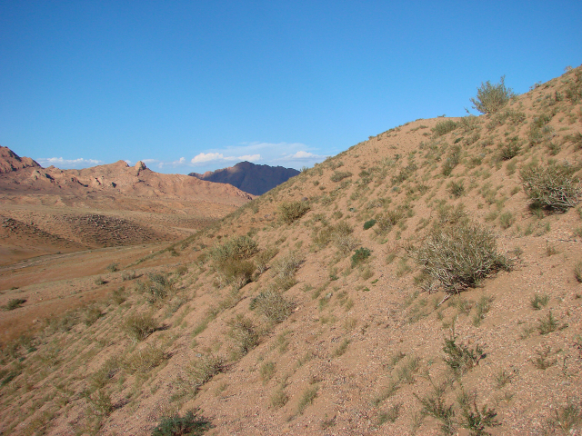 General Area - Looking North-East