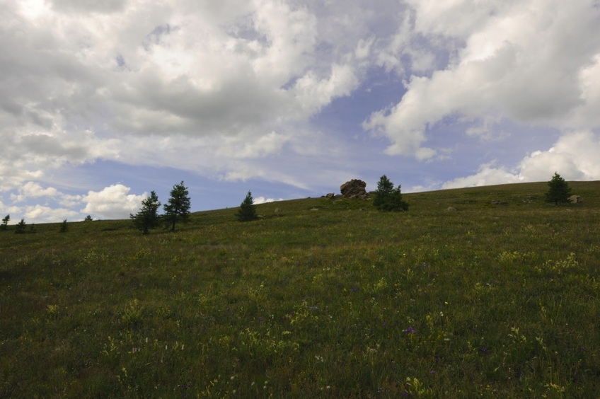 The  49°N 99°E point site from about 100 meters down hill.