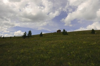 #1: The  49°N 99°E point site from about 100 meters down hill.