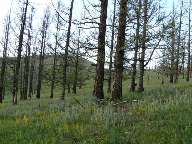 North