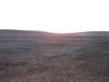 #4: West - steppe