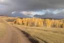 #7: Autumn colours on way to point