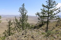#2: East
