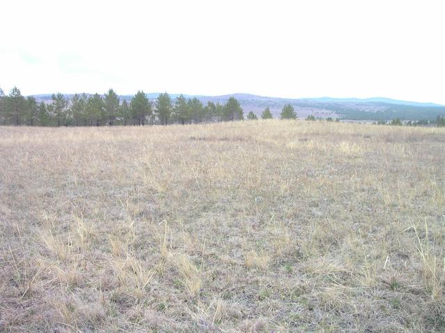 General view - North