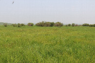 #3: North