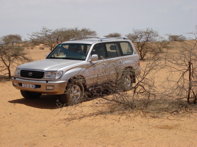 The point is in front of the car, in the middle of the young tree.