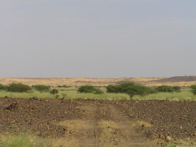 On (an old) track towards the Confluence