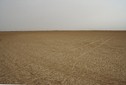 #2: View to the East