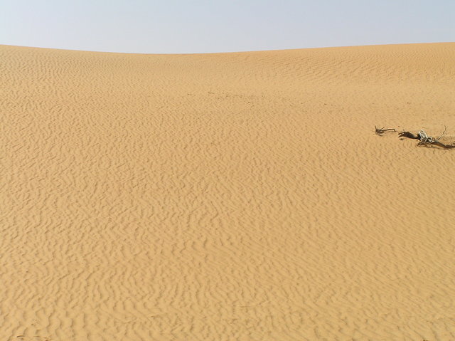 Looking south: dune