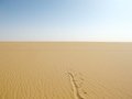 #4: Looking south (or there...)