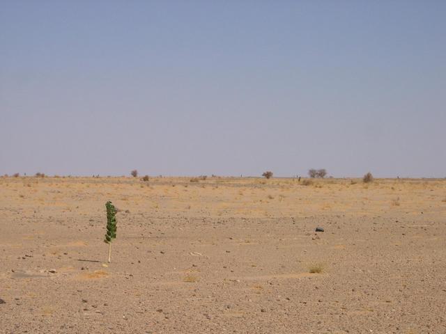 General area of the Confluence