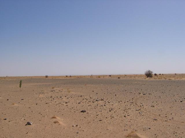 Looking east