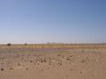 #4: Looking south