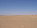 #5: Looking west