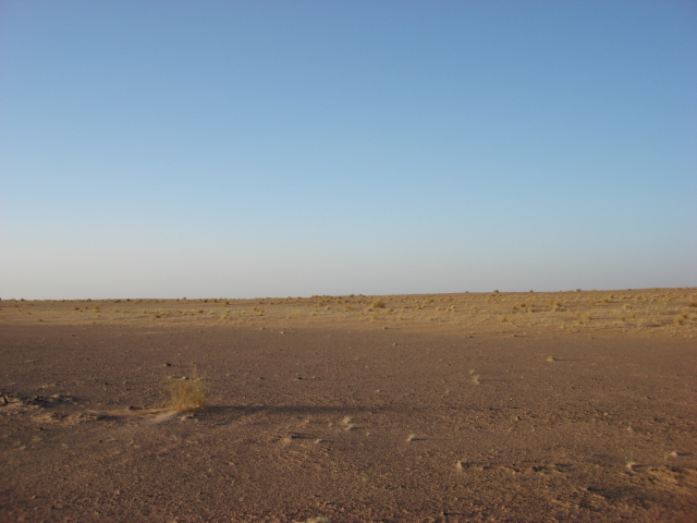 From the point to North (the field of dunesand grass clumps)