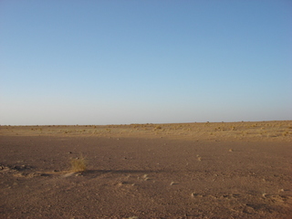 #1: From the point to North (the field of dunesand grass clumps)