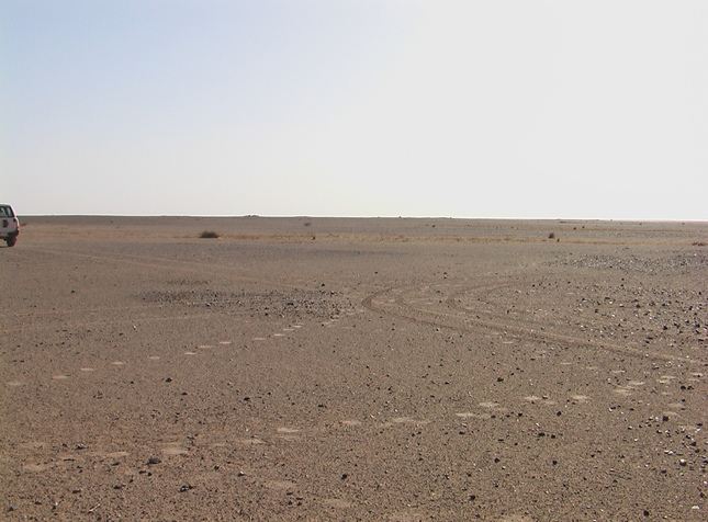 Eastern direction from the point
