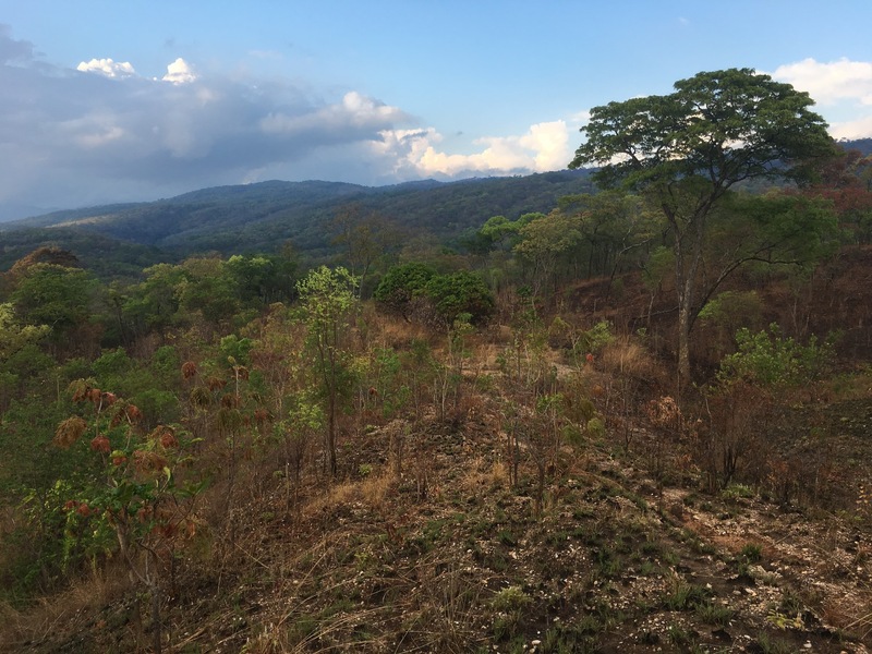 View to the Confluence from 200 m