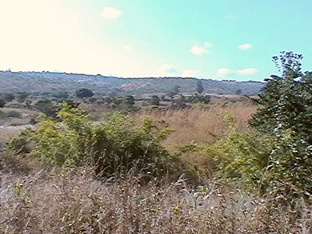 View of the Confluence area