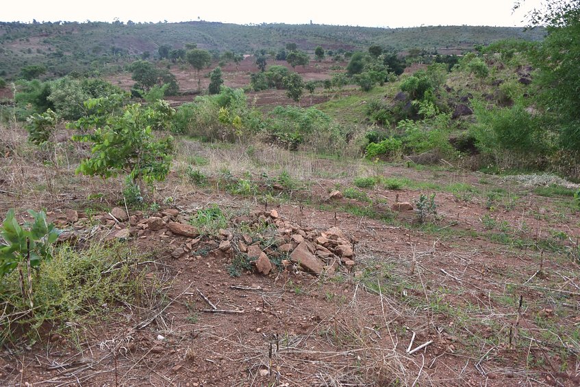 General view from 30 meters away