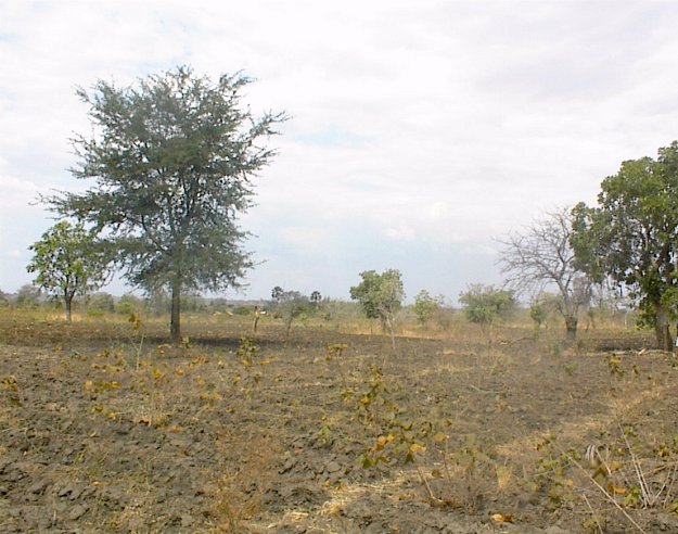 General view of the area