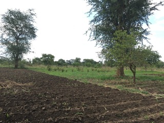 #1: The Confluence from 20 m distance