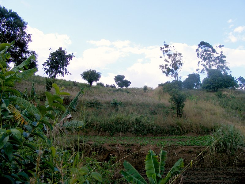 A look at the Confluence from 50 m south