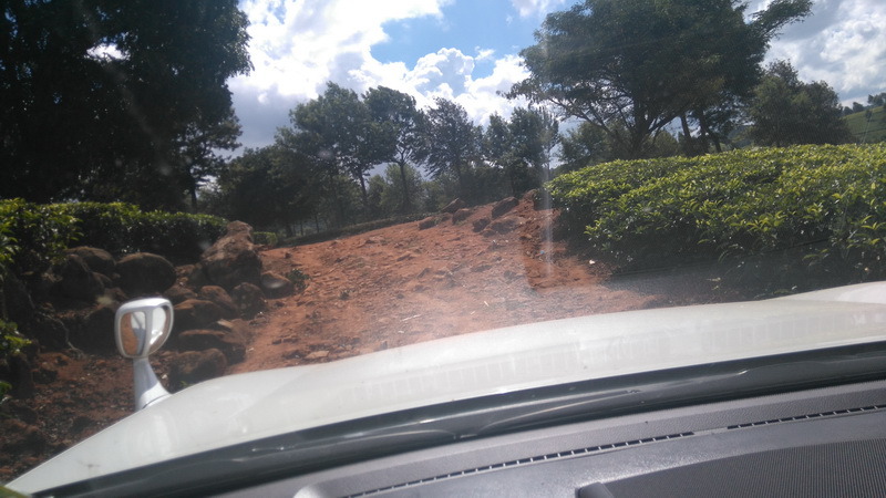 Steep roads on the tea plantation