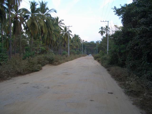 Road to village, alongside the coconut fields