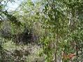 #3: Lado oeste