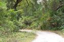 #9: Manglares en el camino a Noham (Mangroves on the way to NOHAM)