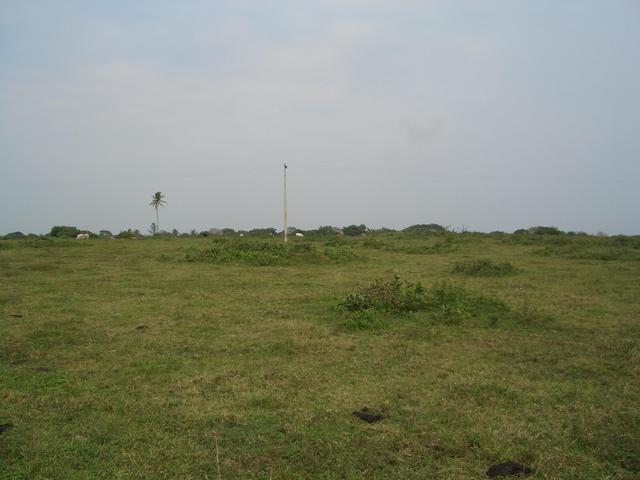 View to the nord