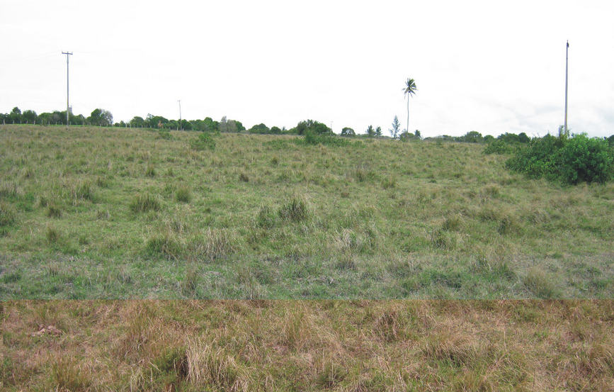 The Confluence - View to the North