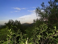 #3: From the confluence facing East, holding the camera above my head.