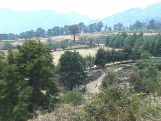 Aerial view of the soccer field (taken from a nopal field)